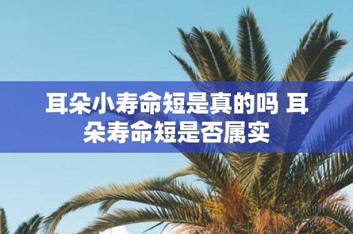 耳朵小寿命短是真的吗 耳朵寿命短是否属实