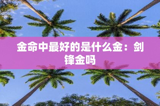 金命中最好的是什么金：剑锋金吗