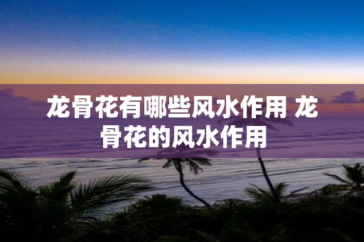 龙骨花有哪些风水作用 龙骨花的风水作用
