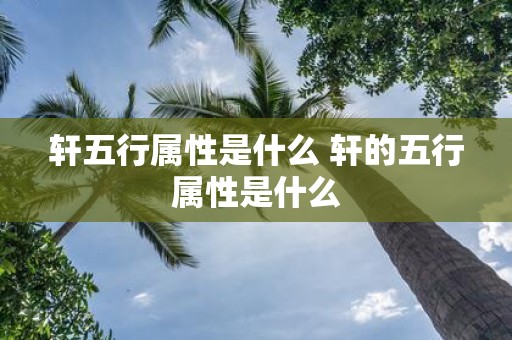 轩五行属性是什么 轩的五行属性是什么