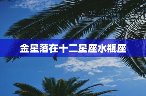金星落在十二星座水瓶座