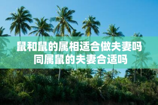鼠和鼠的属相适合做夫妻吗 同属鼠的夫妻合适吗