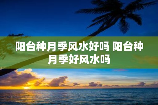 阳台种月季风水好吗 阳台种月季好风水吗