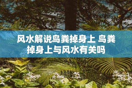 风水解说鸟粪掉身上 鸟粪掉身上与风水有关吗