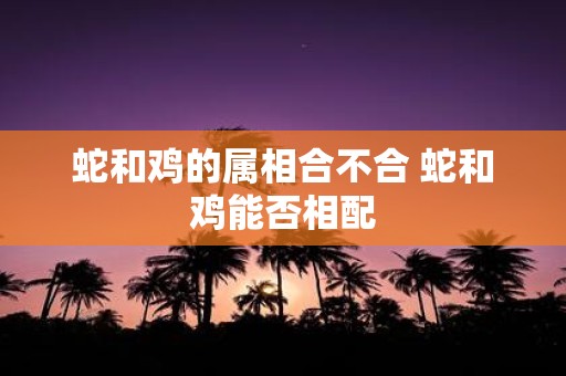 蛇和鸡的属相合不合 蛇和鸡能否相配
