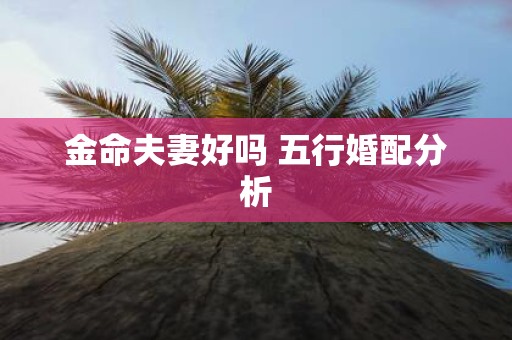 金命夫妻好吗 五行婚配分析