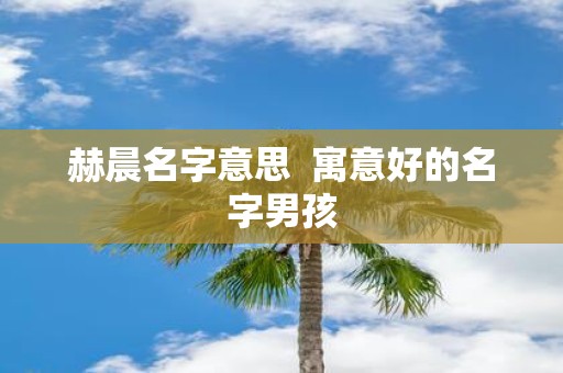 赫晨名字意思 寓意好的名字男孩