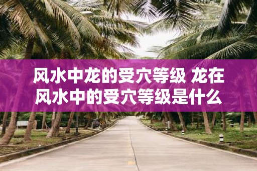 风水中龙的受穴等级 龙在风水中的受穴等级是什么