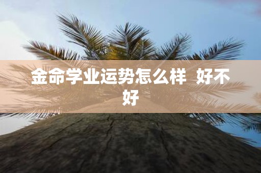 金命学业运势怎么样 好不好
