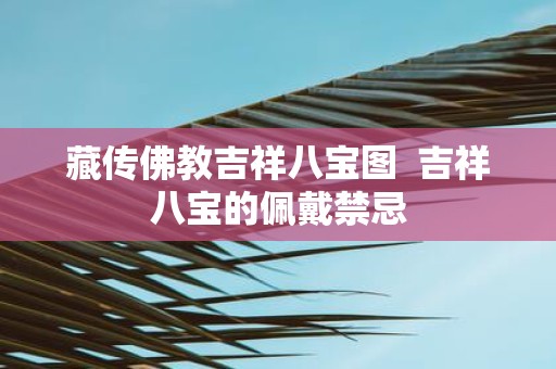 藏传佛教吉祥八宝图 吉祥八宝的佩戴禁忌