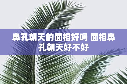 鼻孔朝天的面相好吗 面相鼻孔朝天好不好