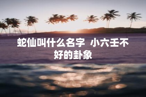 蛇仙叫什么名字 小六壬不好的卦象