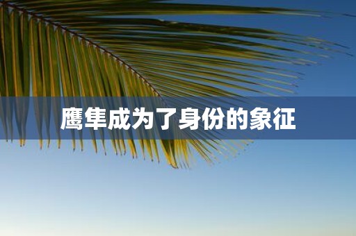 鹰隼成为了身份的象征