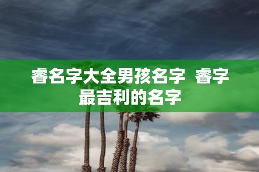 睿名字大全男孩名字 睿字最吉利的名字