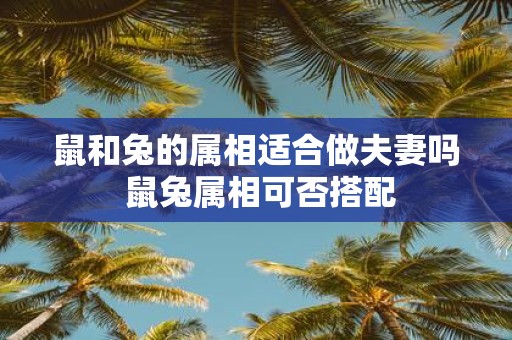 鼠和兔的属相适合做夫妻吗 鼠兔属相可否搭配