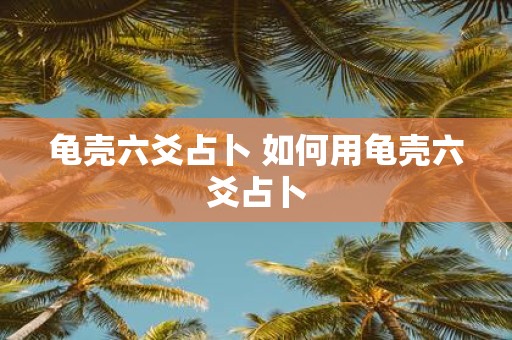 龟壳六爻占卜 如何用龟壳六爻占卜