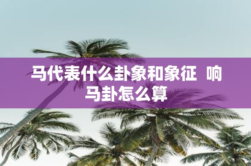 马代表什么卦象和象征 响马卦怎么算