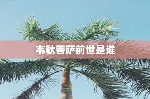 韦驮菩萨前世是谁
