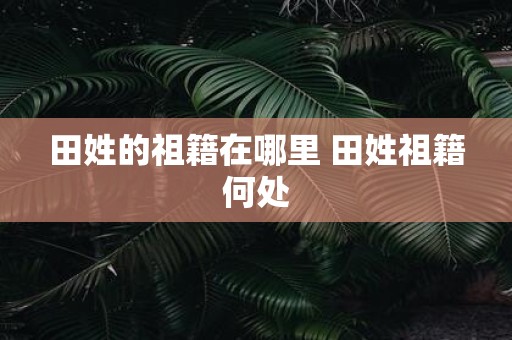 田姓的祖籍在哪里 田姓祖籍何处