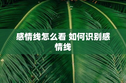 感情线怎么看 如何识别感情线