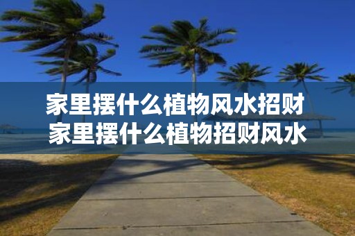 家里摆什么植物风水招财 家里摆什么植物招财风水