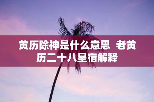 黄历除神是什么意思 老黄历二十八星宿解释