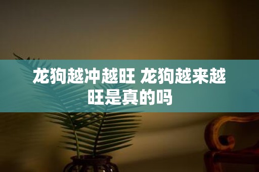 龙狗越冲越旺 龙狗越来越旺是真的吗
