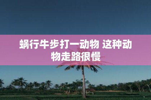蜗行牛步打一动物 这种动物走路很慢