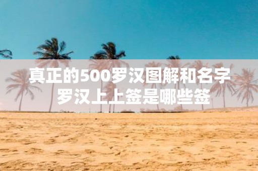 真正的500罗汉图解和名字 罗汉上上签是哪些签