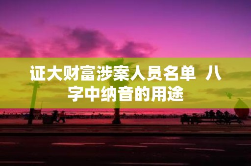 证大财富涉案人员名单 八字中纳音的用途