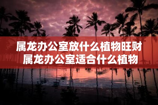 属龙办公室放什么植物旺财 属龙办公室适合什么植物旺财