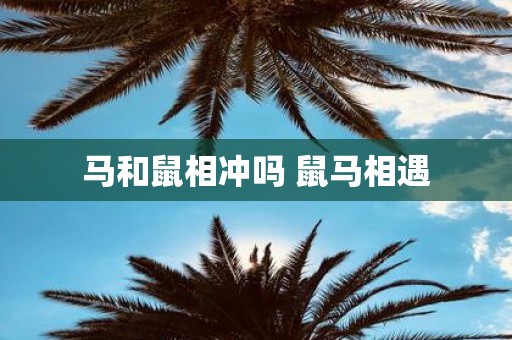 马和鼠相冲吗 鼠马相遇