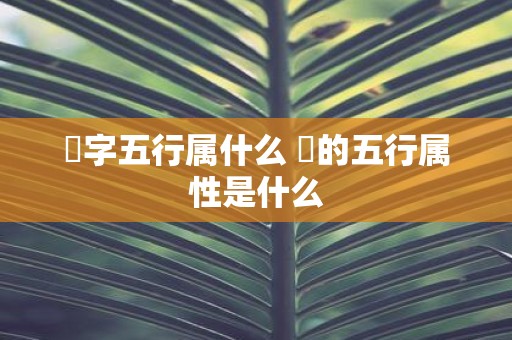 璟字五行属什么 璟的五行属性是什么