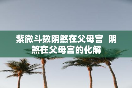紫微斗数阴煞在父母宫 阴煞在父母宫的化解