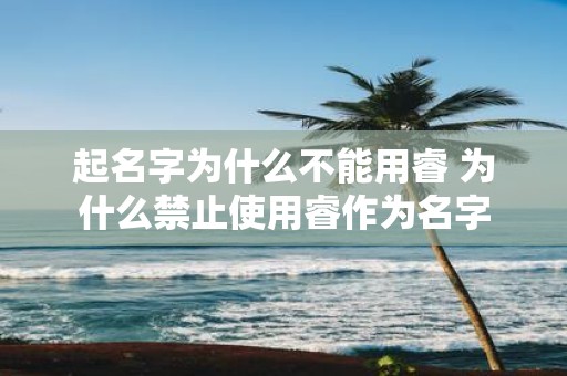 起名字为什么不能用睿 为什么禁止使用睿作为名字