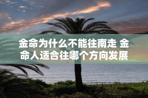 金命为什么不能往南走 金命人适合往哪个方向发展