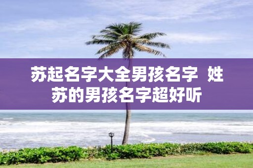 苏起名字大全男孩名字 姓苏的男孩名字超好听