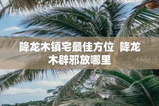 降龙木镇宅最佳方位 降龙木辟邪放哪里