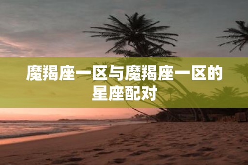 魔羯座一区与魔羯座一区的星座配对