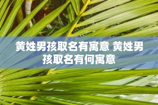 黄姓男孩取名有寓意 黄姓男孩取名有何寓意