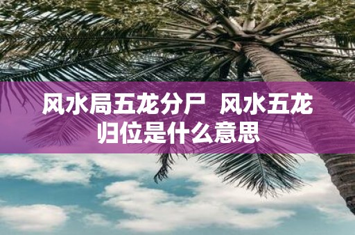 风水局五龙分尸 风水五龙归位是什么意思