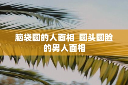 脑袋圆的人面相 圆头圆脸的男人面相