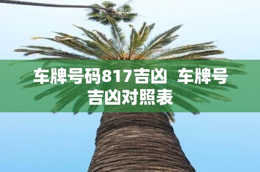 车牌号码817吉凶 车牌号吉凶对照表