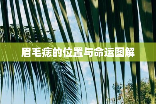 眉毛痣的位置与命运图解