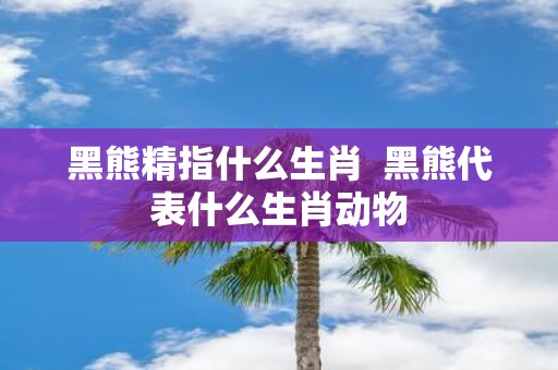 黑熊精指什么生肖 黑熊代表什么生肖动物
