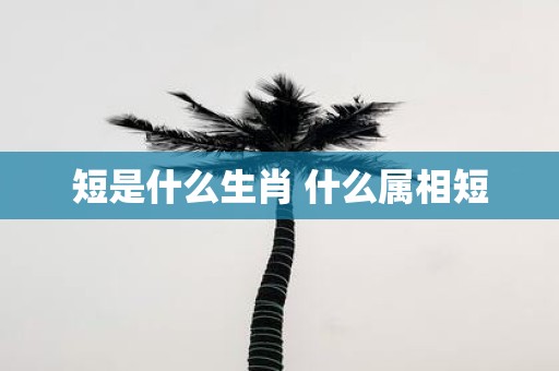 短是什么生肖 什么属相短