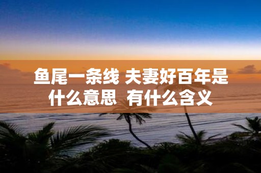 鱼尾一条线 夫妻好百年是什么意思 有什么含义