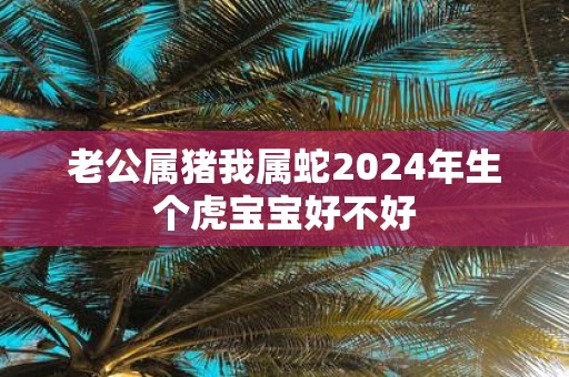 老公属猪我属蛇2025年生个虎宝宝好不好