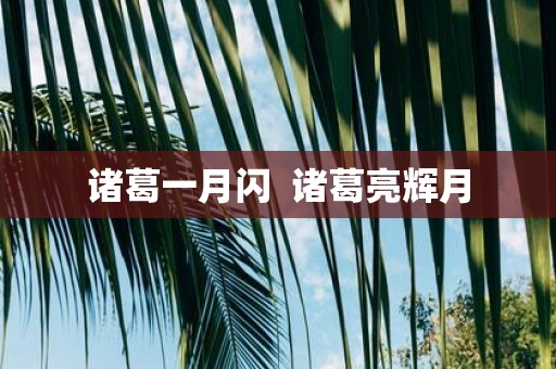 诸葛一月闪 诸葛亮辉月