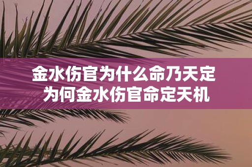 金水伤官为什么命乃天定 为何金水伤官命定天机
